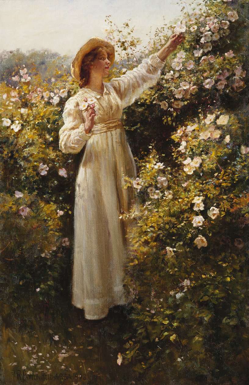 Yabani gül by Robert Payton Reid