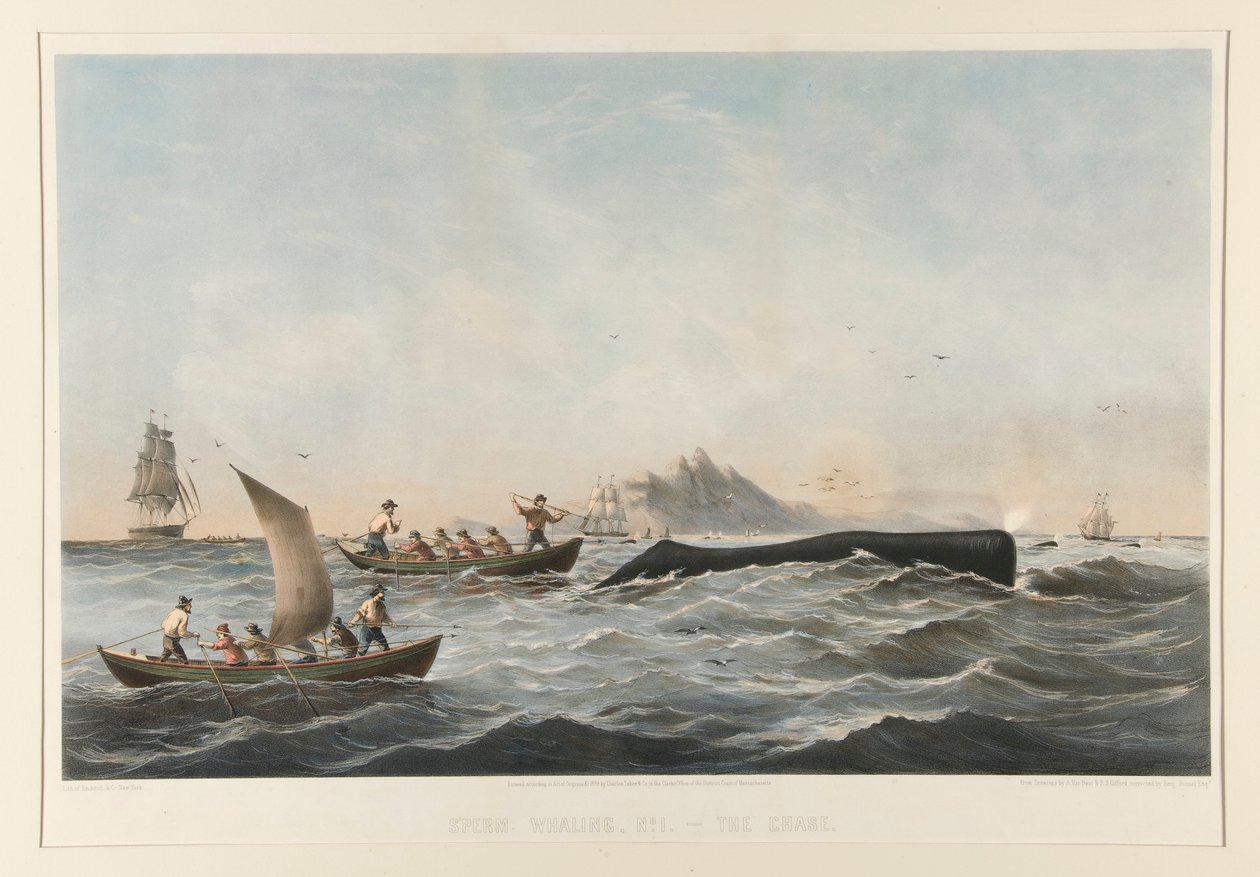 Sperm Balina Avcılığı, 1 Numaralı Vaka by Robert Swain Gifford