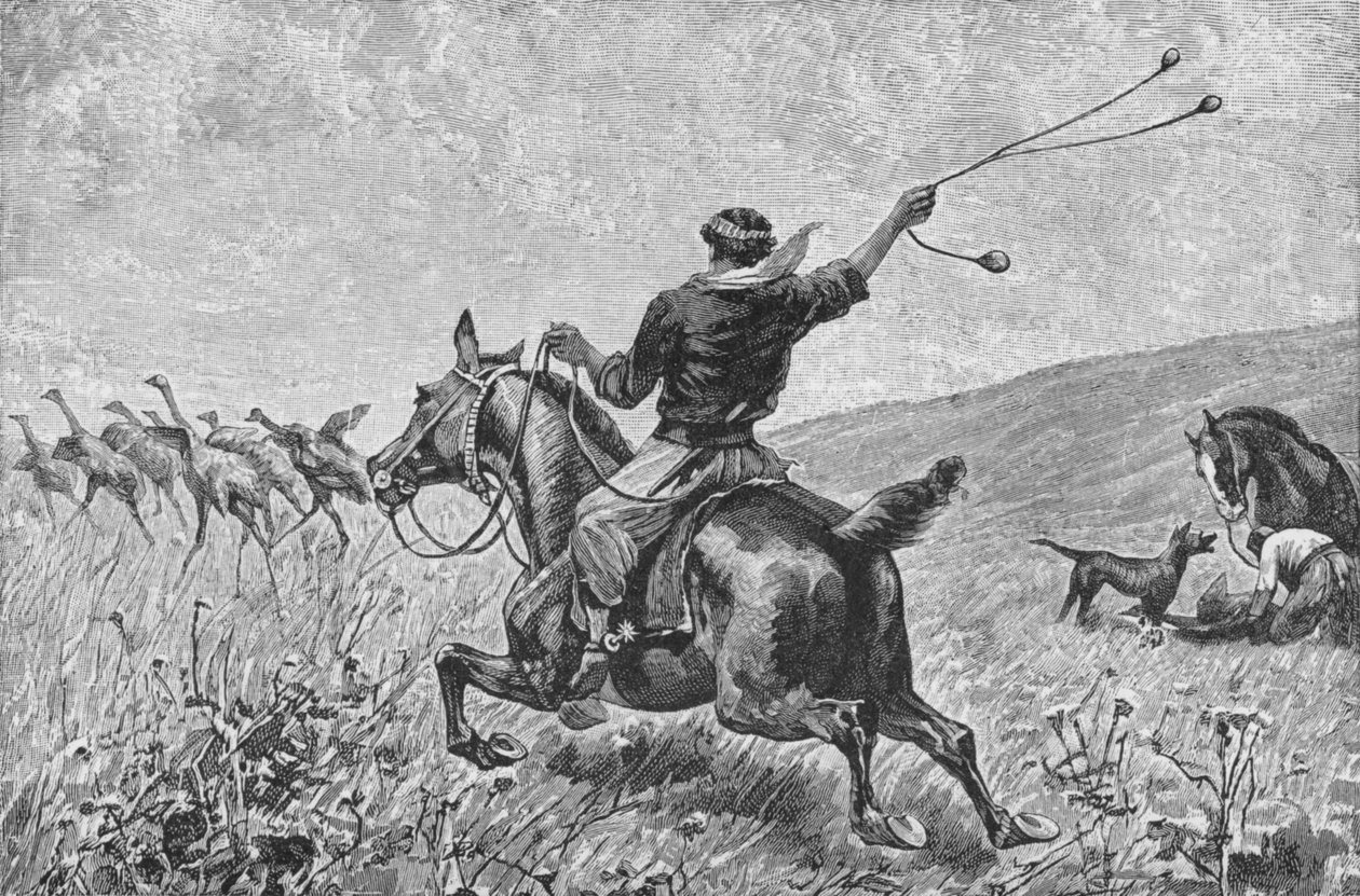 Bolas Fırlatma, c1885, 1890 by Robert Taylor Pritchett