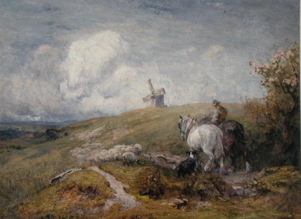 South Downs