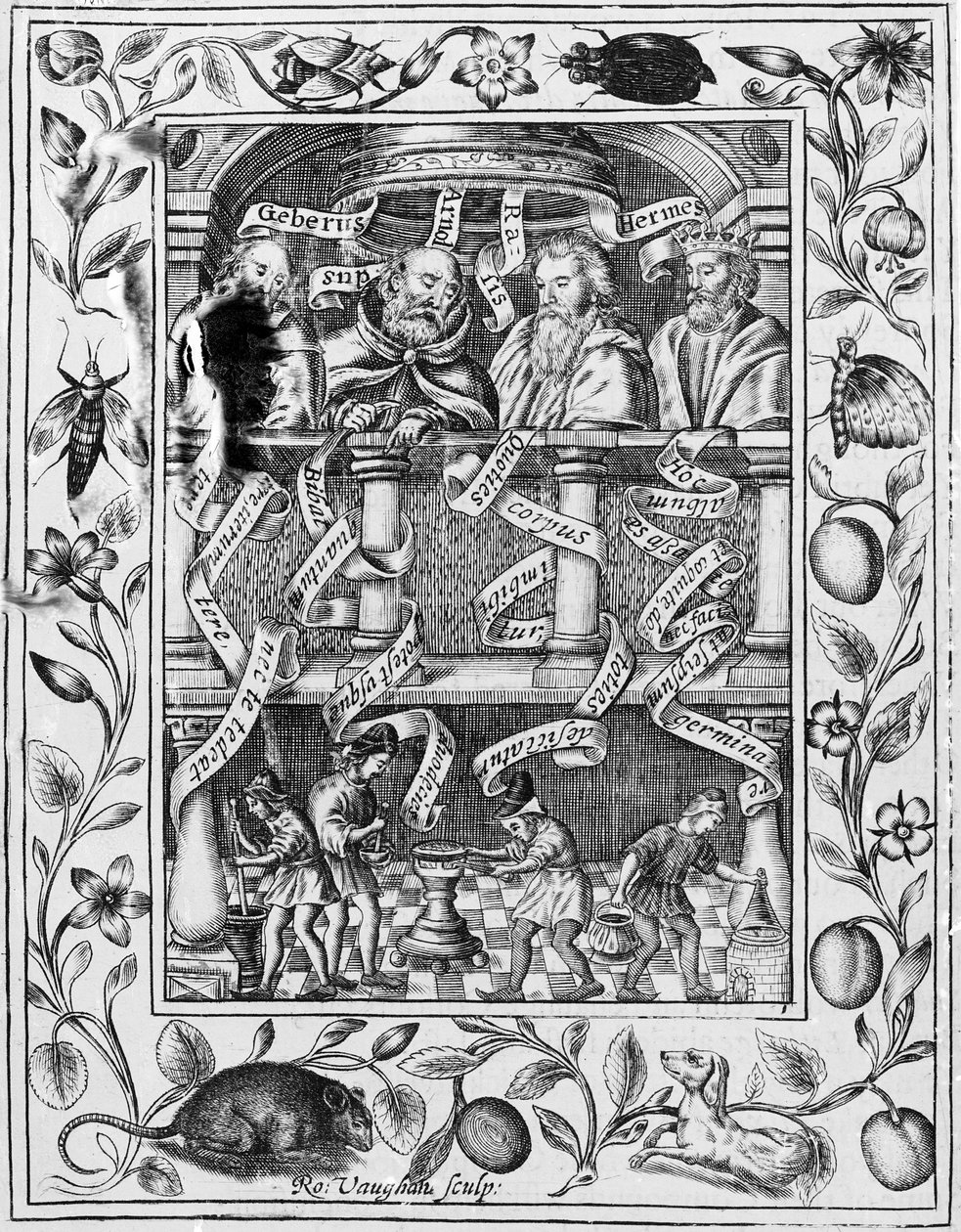Büyük simyacılar, 1652 Theatrum Chemicum Britannicum