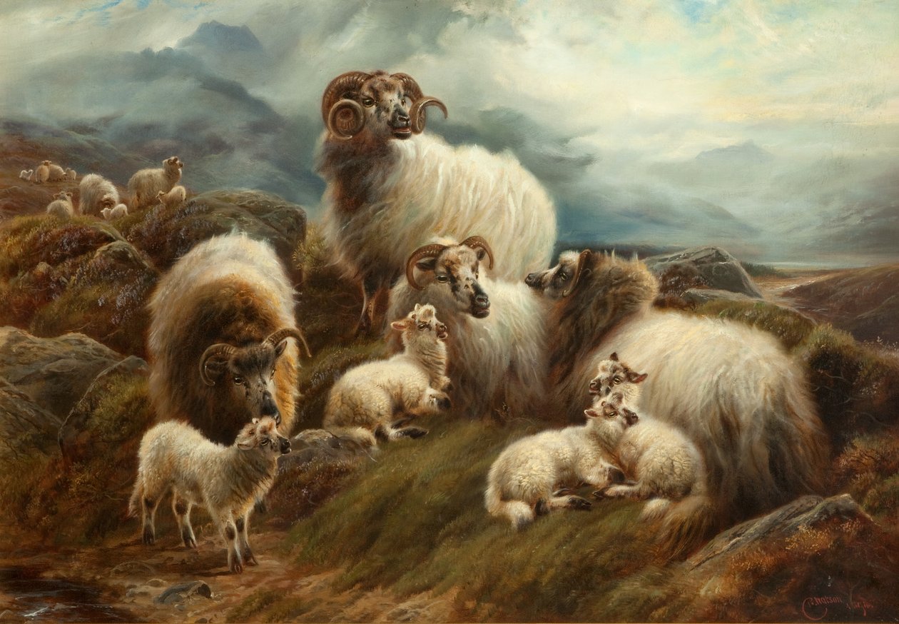 Manzaradaki Koyun, 1894 by Robert Watson