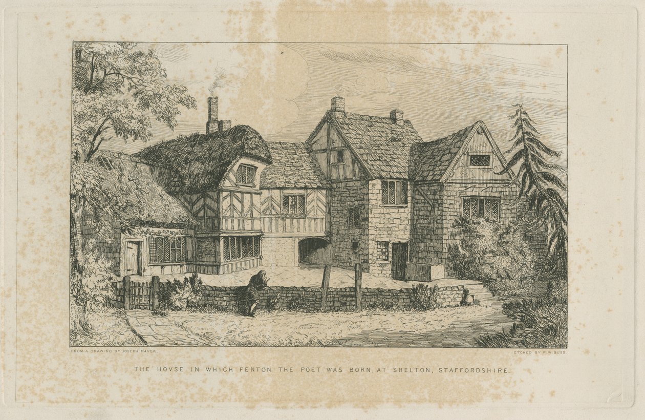 Shelton - Fenton