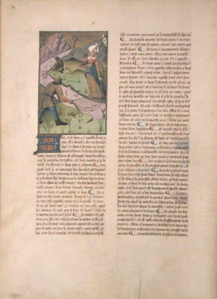 Bayan Fr. Fv VI #1 fol. 5v Balık Tutma, Matthaeus Platerius (d.c.1161) c.1470