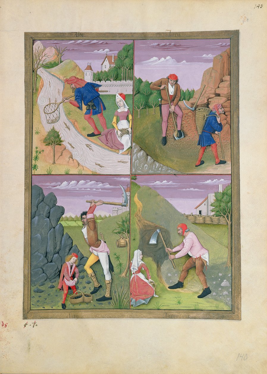Mattheaus Platearius 143r tarafından yazılan Basit İlaçlar Kitabından Örnekleme by Robinet Testard