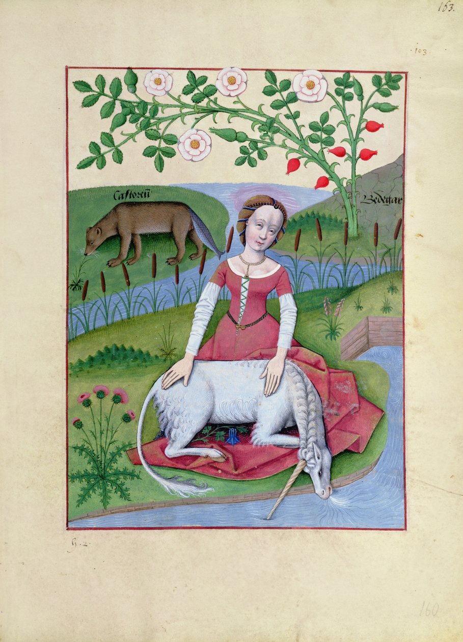 Bayan Fr. Fv VI fol.163r Mattheaus Platearius