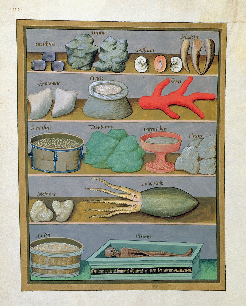 Illustration from the Book of Simple Medicines by Mattheaus Platearius 166v by Robinet Testard
