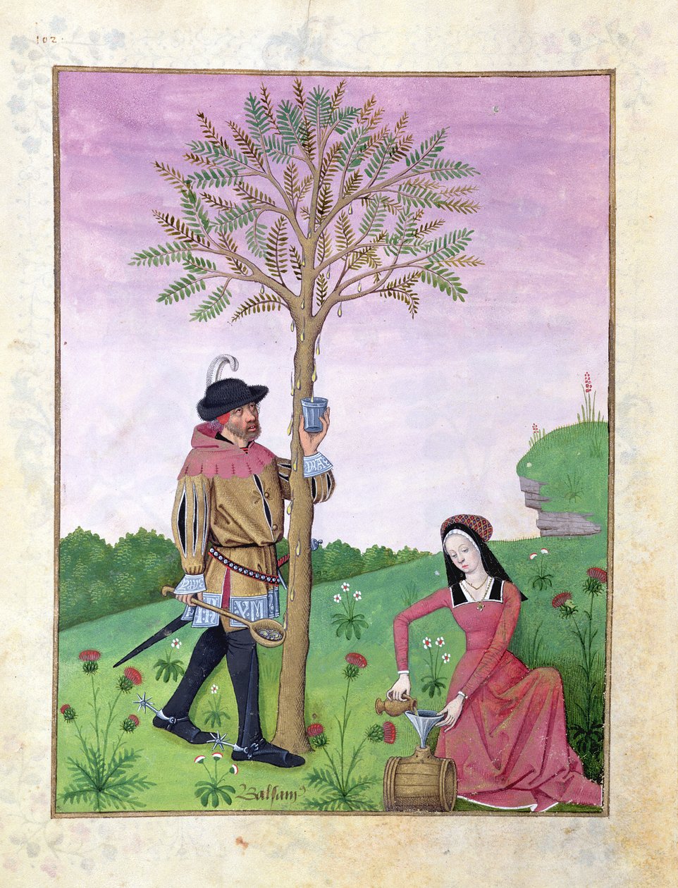 Lavanta, Hellebore ve Salatalık ailesinin bir akrabası, Mattheaus Platearius 131r tarafından Basit İlaçlar Kitabından İllüstrasyon by Robinet Testard