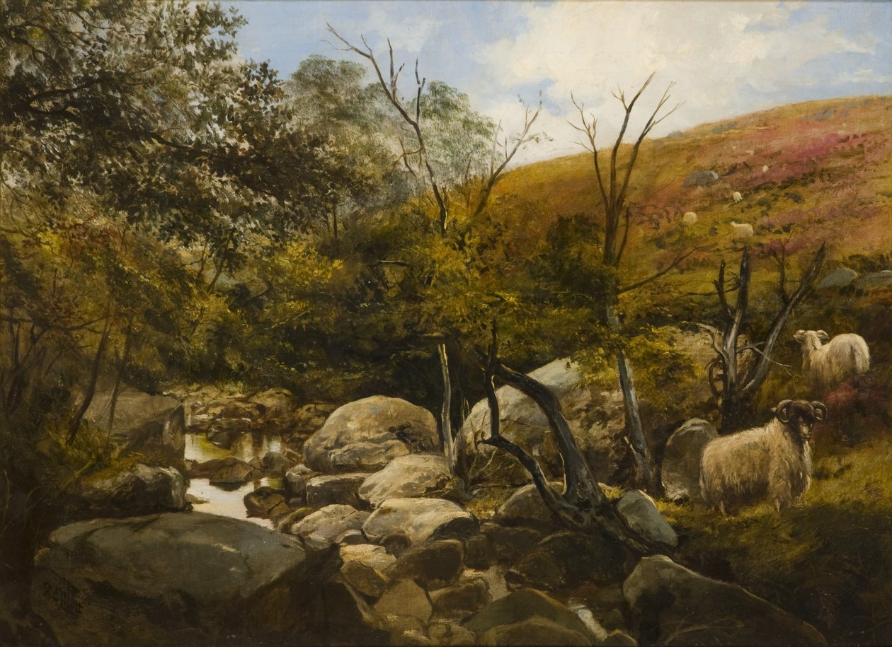 Rothbury yakınlarındaki Kara Yanık