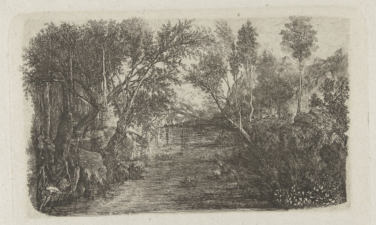 Le Cours d'eau kıyısında bir dere ve ağaçlarla manzara by Rodolphe Bresdin