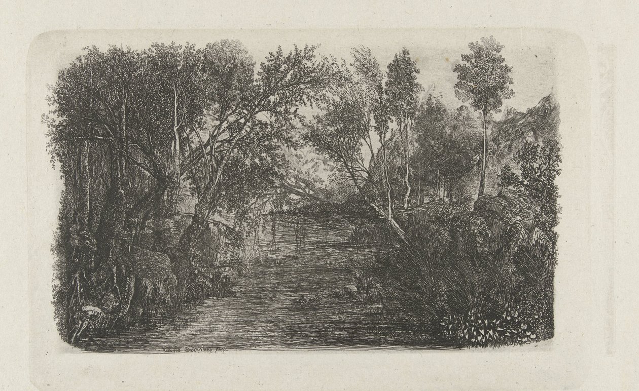 Le cours d'eau kıyısında bir dere ve ağaçlarla manzara by Rodolphe Bresdin