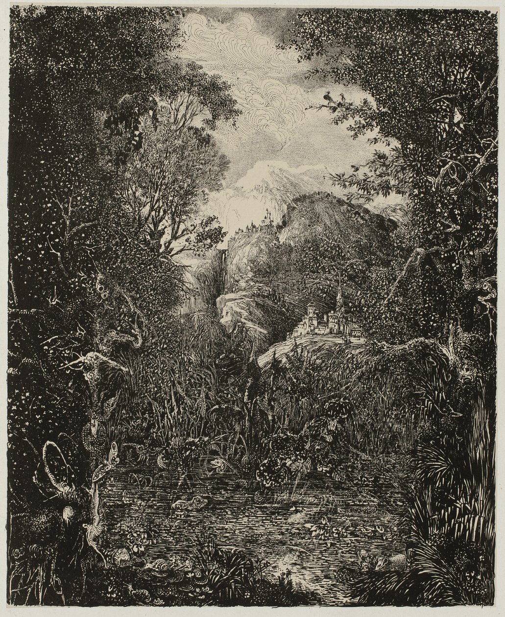 Marsh