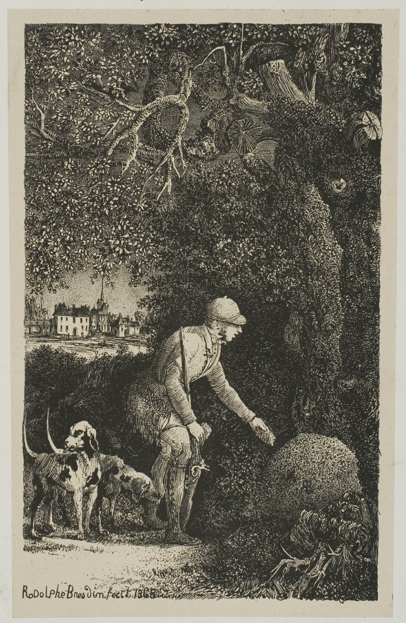 Diplomat ve Karınca Yuvası, Hippolyte de Thierry-Faletans tarafından Masallar ve Masallar için İllüstrasyon by Rodolphe Bresdin