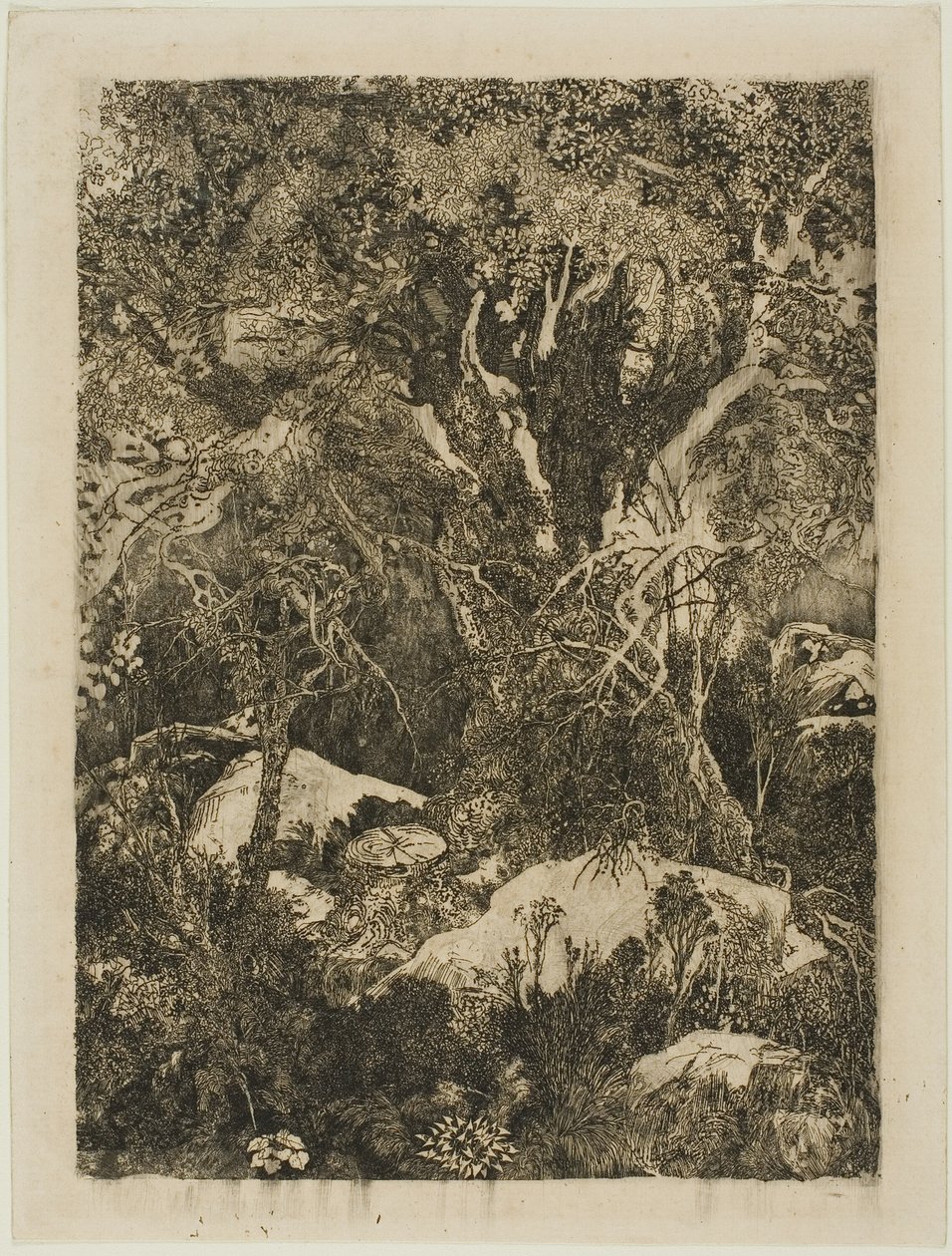 Fontainebleau Ormanı by Rodolphe Bresdin