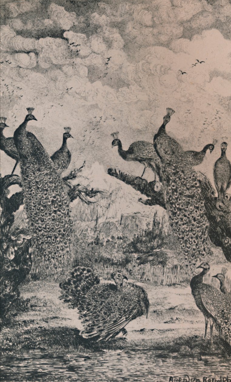 Tavus Kuşları, 1869, 1946 by Rodolphe Bresdin