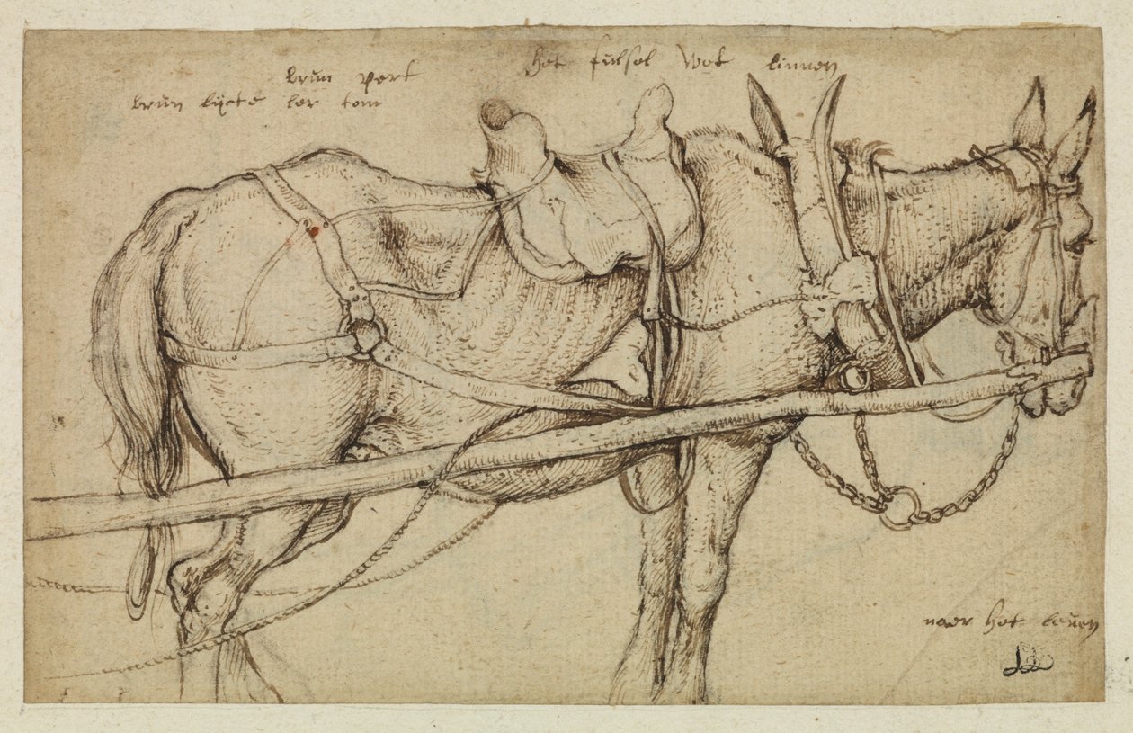 koşumdaki katır by Roelandt Jacobsz. Savery