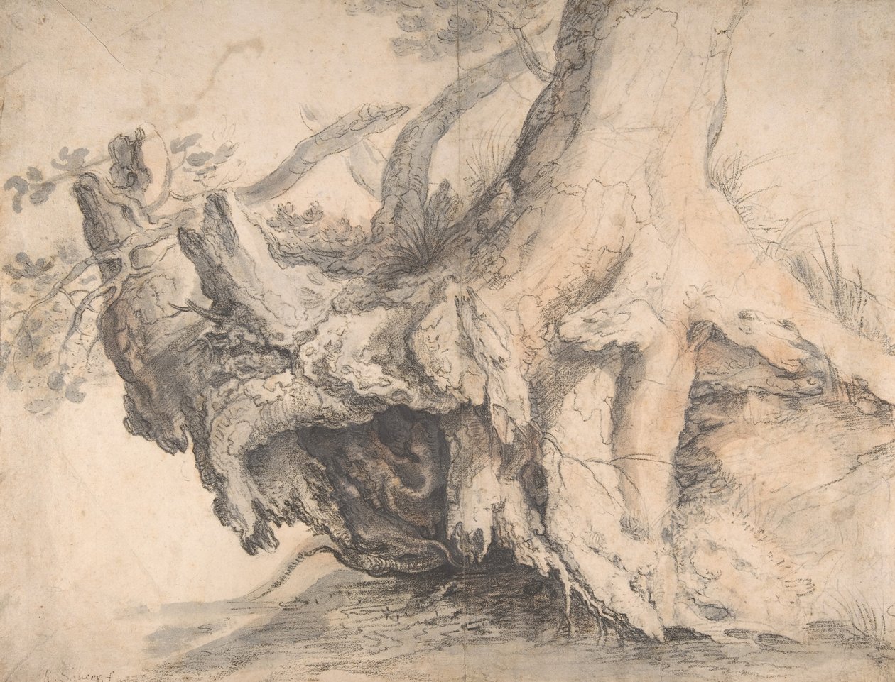 Bir Ağacın İncelenmesi, ca. 1606-7. by Roelandt Savery
