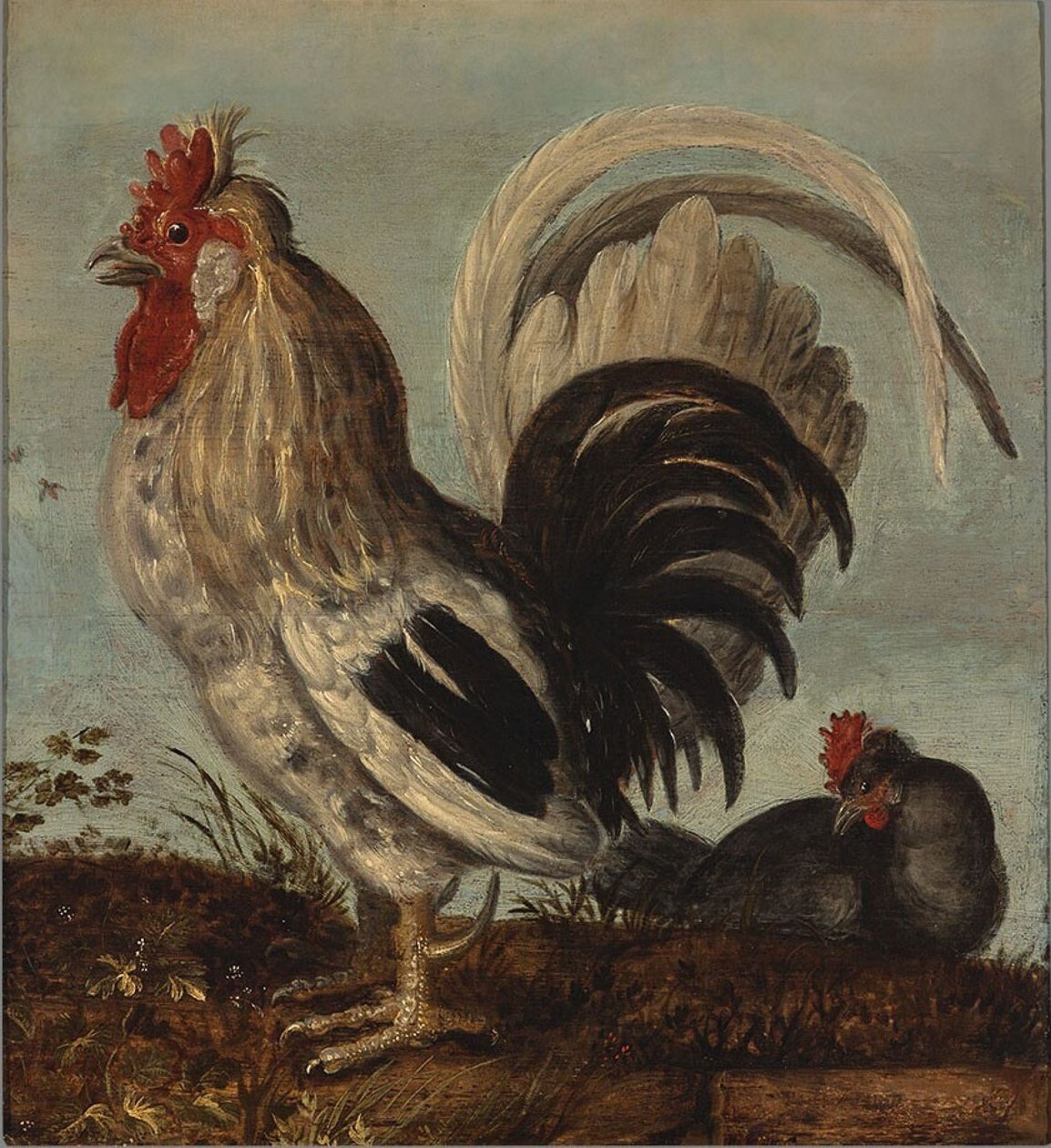 bir horoz by Roelandt Jacobsz. Savery