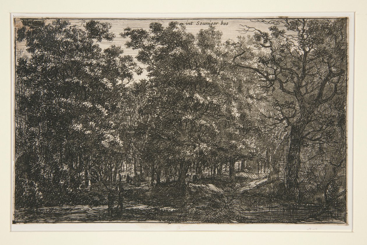 Int Seuniger Bos by Roelant Roghman