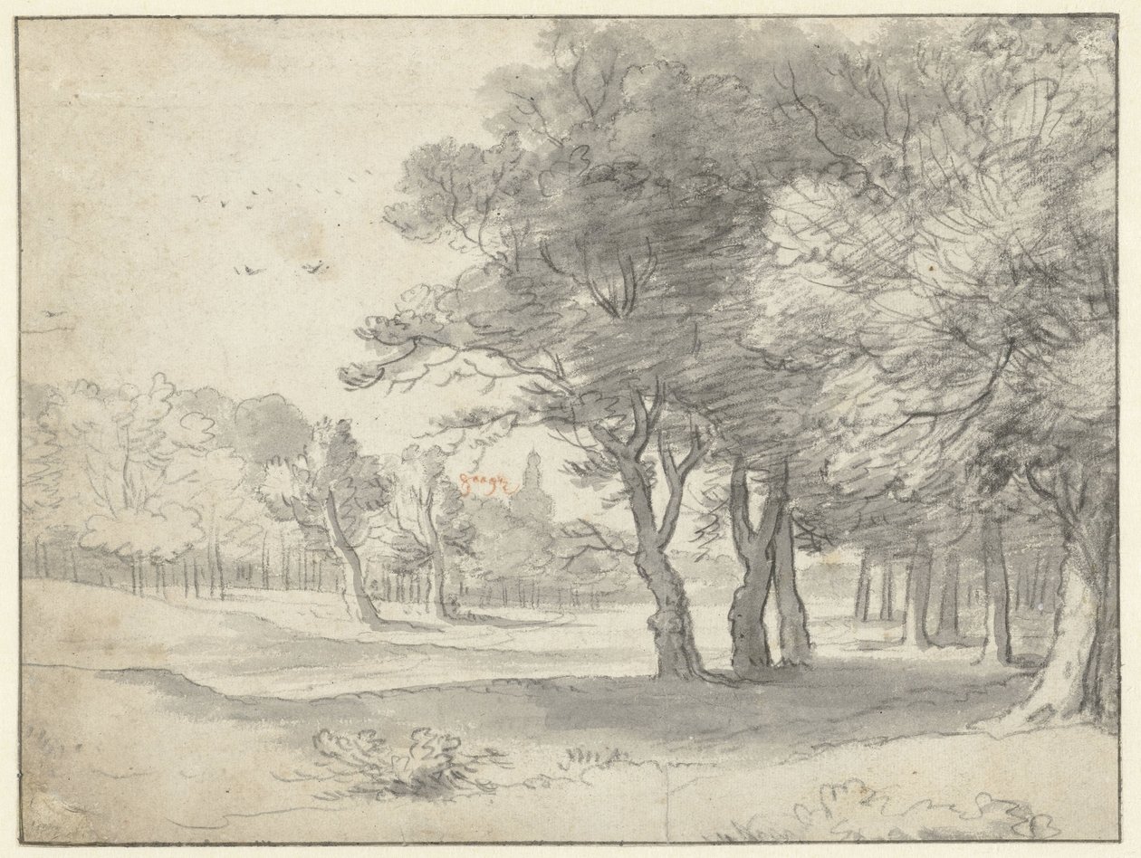 Uzakta Grote Kerk, Lahey ile Haagse Bos