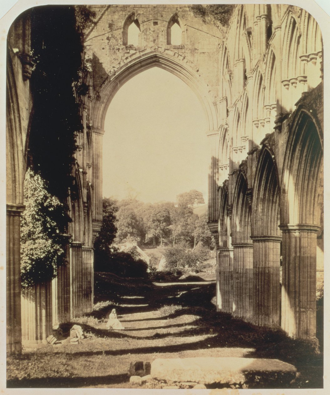 Rievaulx Manastırı, Kuzey Yorkshire, 1854 (sepya fotoğrafı) by Roger Fenton
