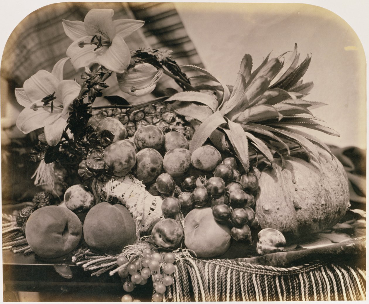 Meyveli Natürmort, 1860 (sepya fotoğrafı) by Roger Fenton