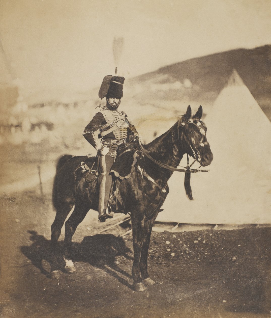 Cornet Henry John Wilkin, 11. (veya Prens Albert