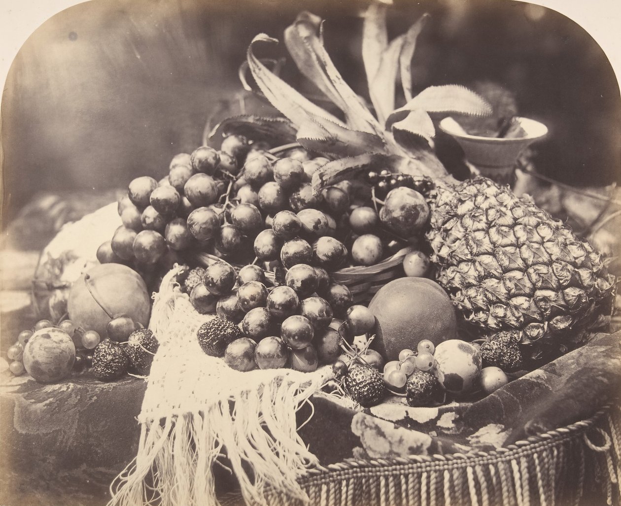 Meyveli Natürmort, 1860. by Roger Fenton
