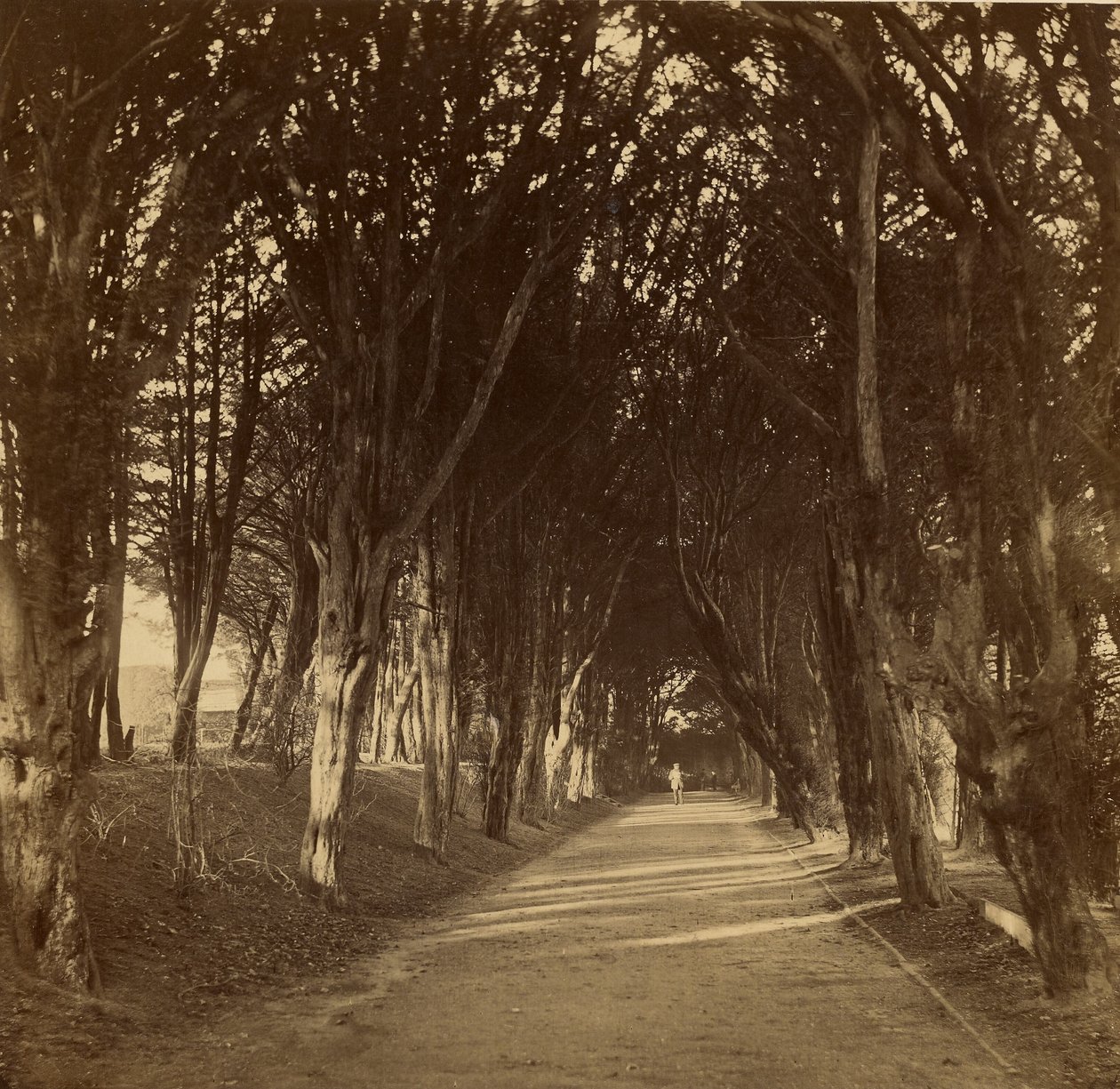  by Roger Fenton