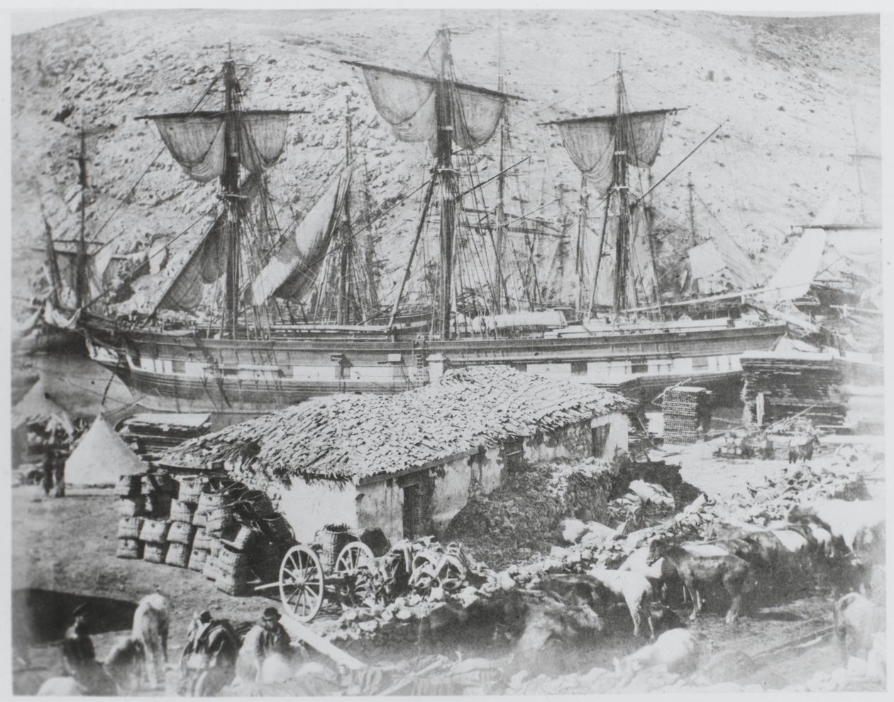 Balaklava limanındaki sığır iskelesi by Roger Fenton
