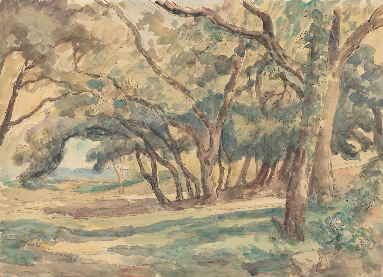 Tropez yakınlarındaki Ormanlık Glade by Roger Fry