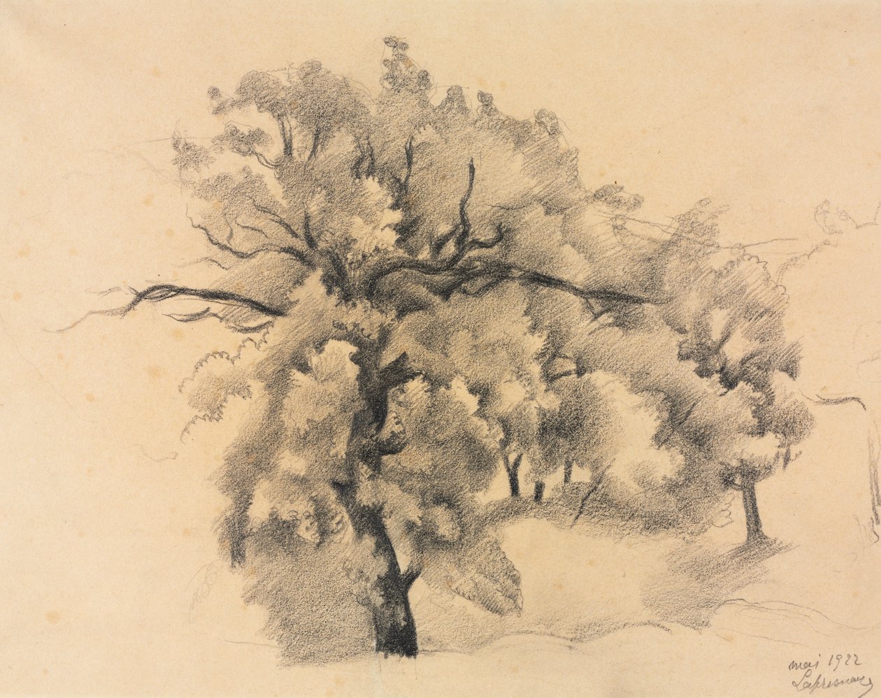 Ağaçların Çalışması by Roger de La Fresnaye