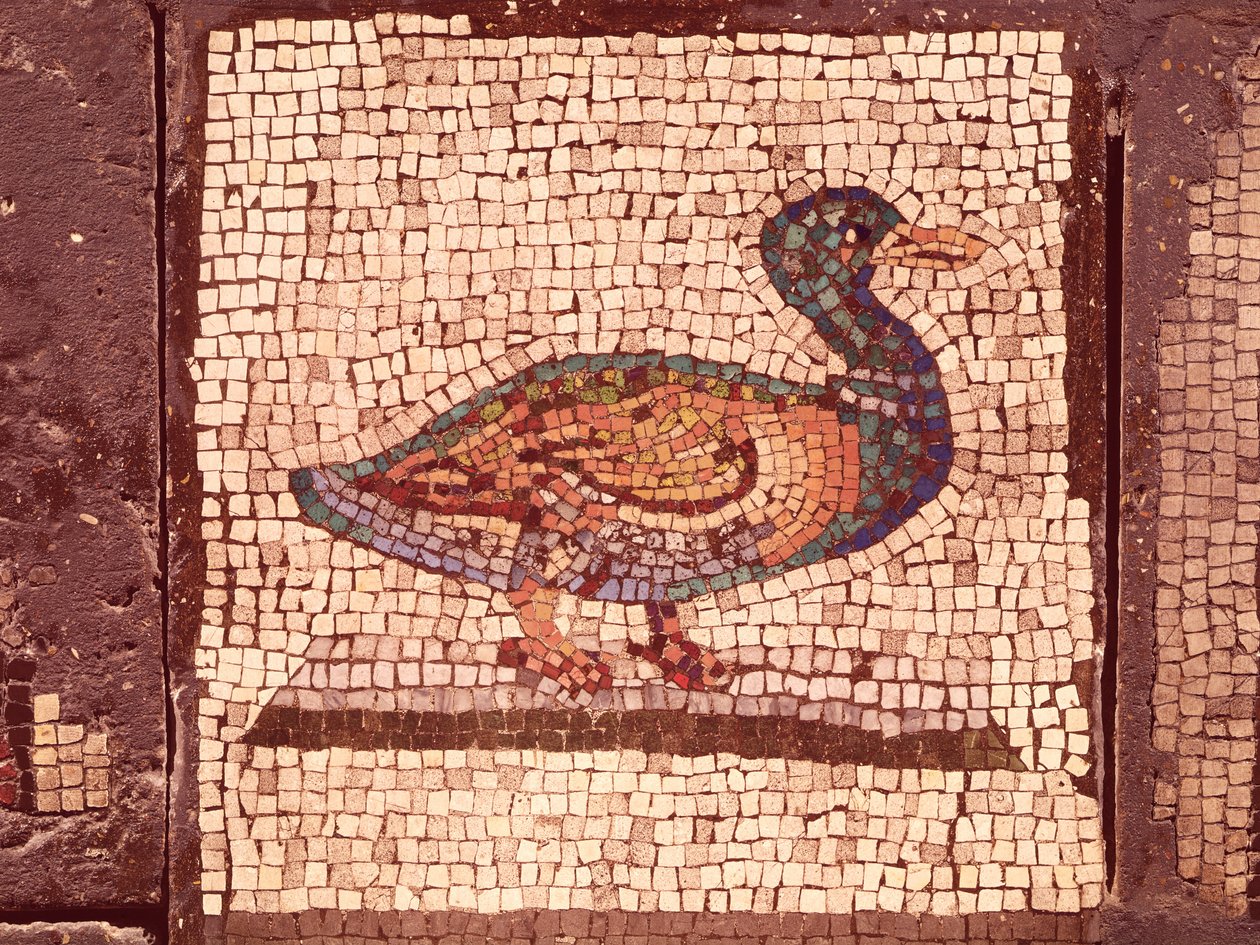 Bir Ördek, Hayvanları Büyüleyen Orpheus
