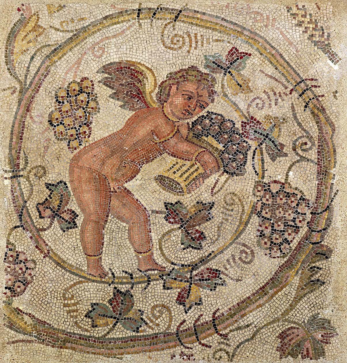 Bir aşk tanrısı üzüm toplama, Kartaca, Tunus'tan kaldırım parçası (mozaik) by Roman