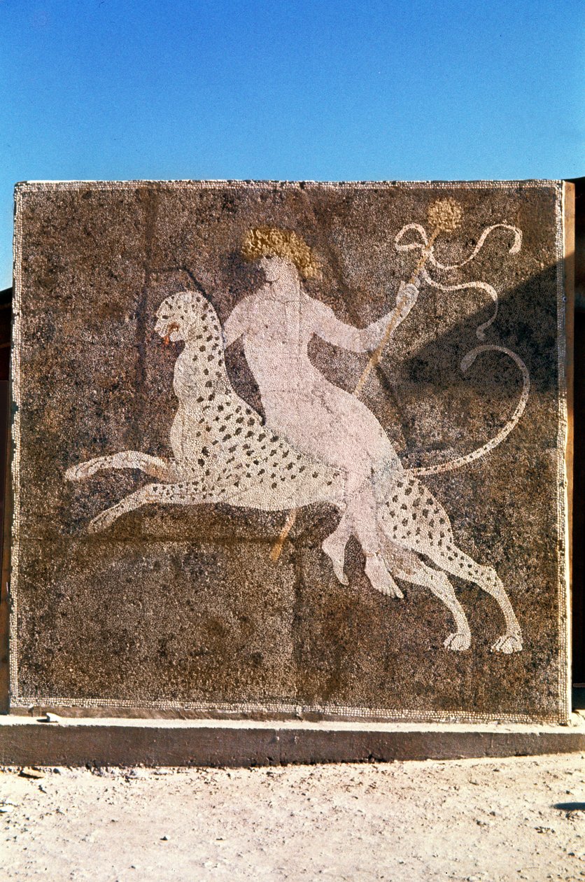 Leopar Binen Bacchus, MS 1.-2. yüzyıl (mozaik) by Roman