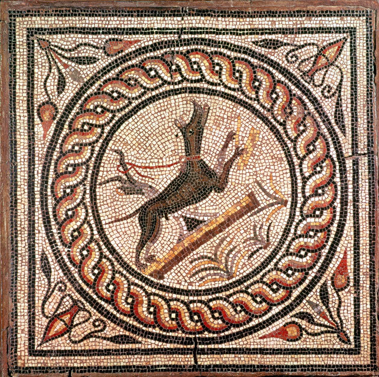 Mağara Canem (Köpeğe Dikkat) 2.-3. yüzyıl (mozaik) by Roman