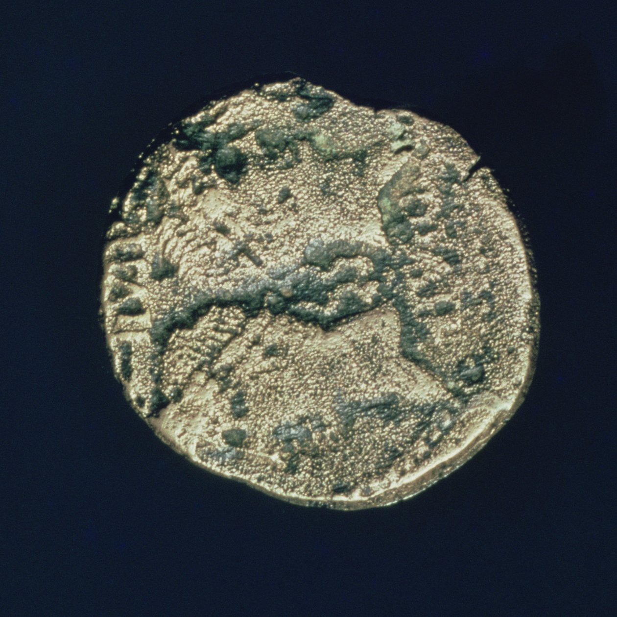 ಜೂಲಿಯಸ್ ಸೀಸರ್ (101-44 BC) ಮತ್ತು ಅಗಸ್ಟಸ್ (63-14 BC) (ಕಂಚಿನ) ಟರ್ಕಿಯ ಮುಖ್ಯಸ್ಥರೊಂದಿಗಿನ ನಾಣ್ಯ by Roman