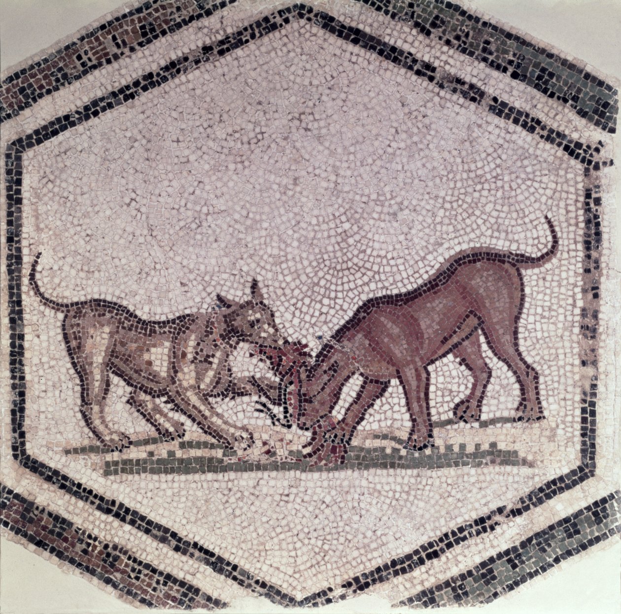 Dogs Fighting for a Bird, Roman, 2nd-3rd century (mosaic) by Roman