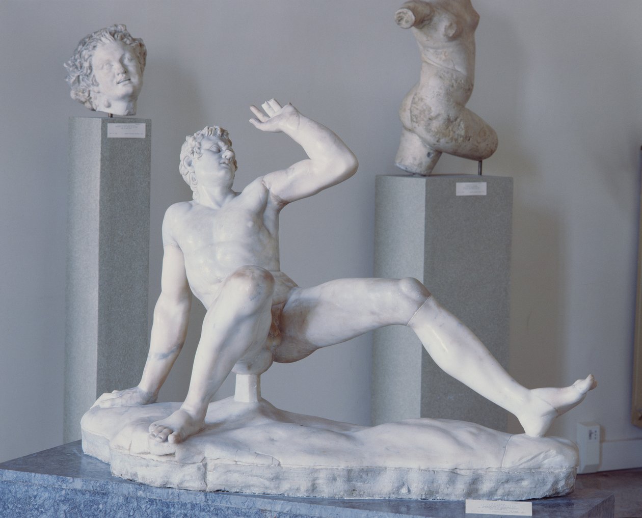 Gallo Cadente (mermer) by Roman