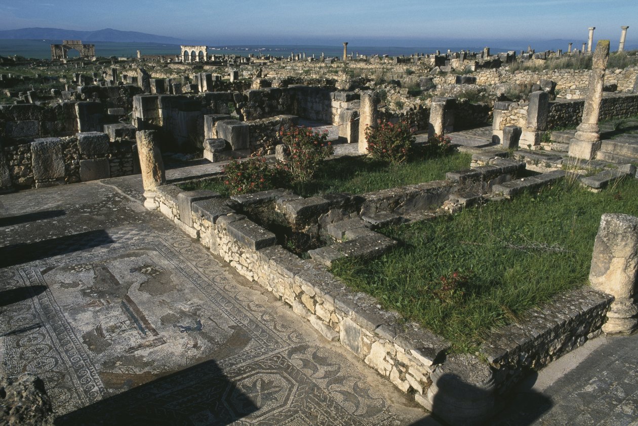 Genel görünüm by Roman
