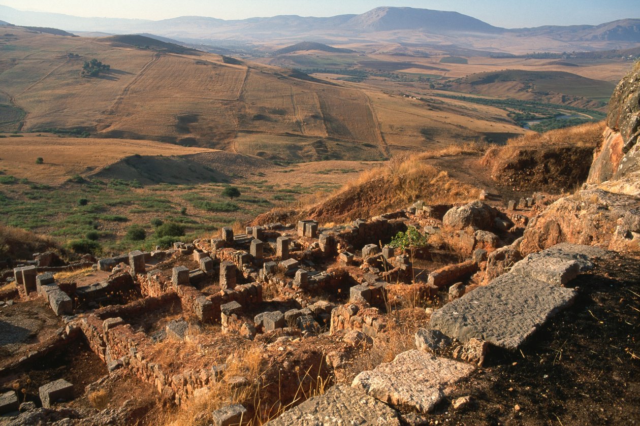 Sitenin genel görünümü by Roman