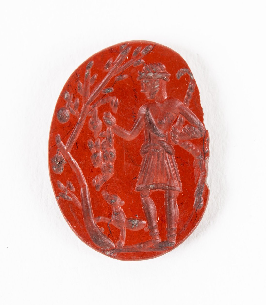 Silvanus-Cocidius