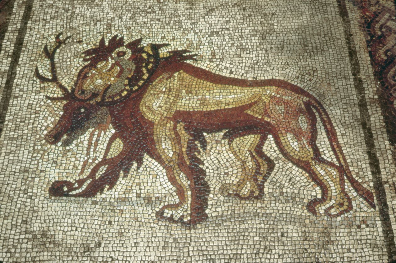 Aslan, Insula XXI, Bina 2 MS 2. yüzyılın sonları (mozaik) by Roman