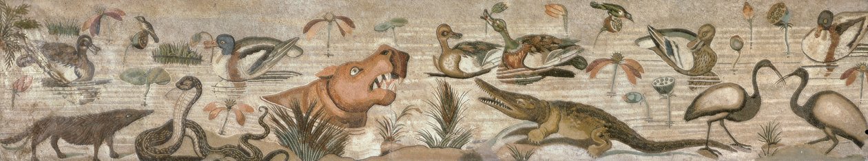 Casa del Fauno