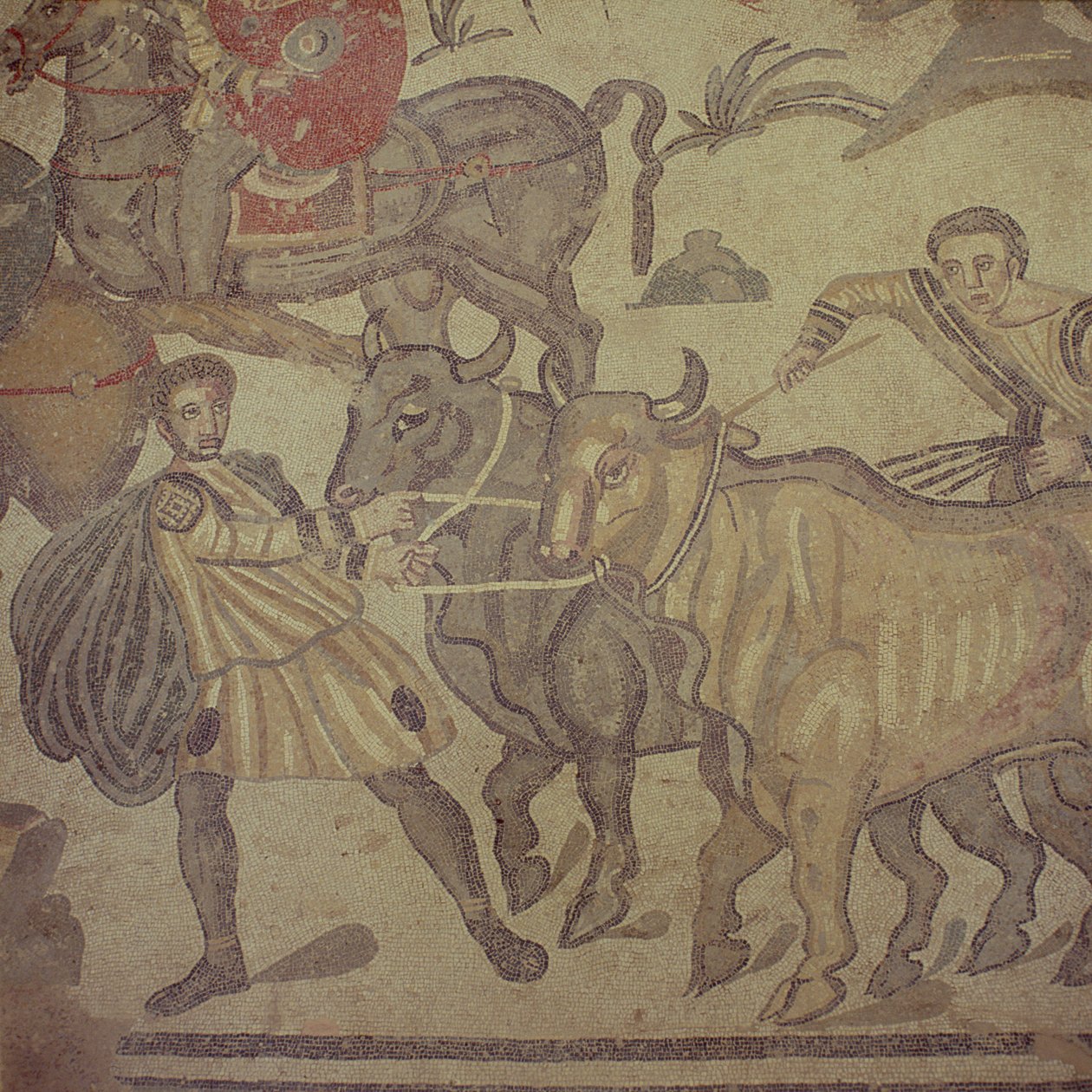 Su taşıyan öküz, Roma mozaiği, 4. yüzyılın başları (mozaik) by Roman