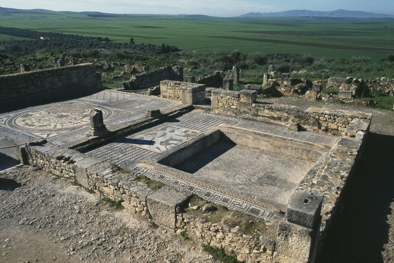 ಪೇಟ್ರೀಷಿಯನ್ ಹೌಸ್ ಟರ್ಕ್ನ ಪಾದಚಾರಿ ಮಾರ್ಗ by Roman