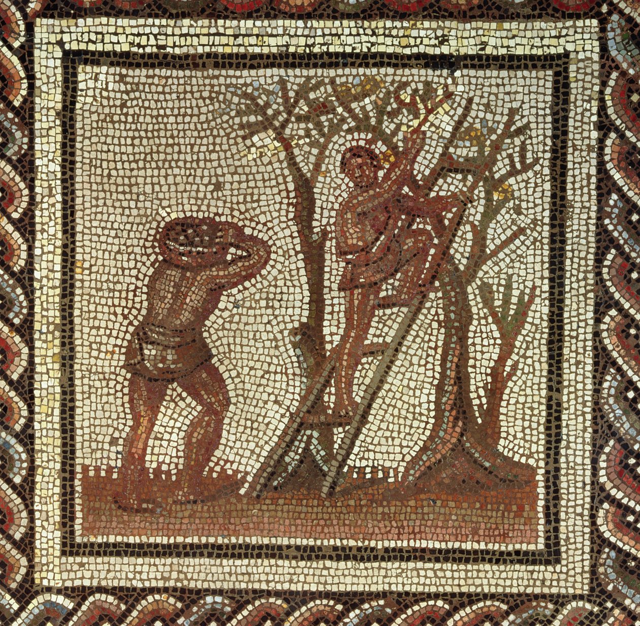 Meyve Toplama, Saint-Romain-en-Gal