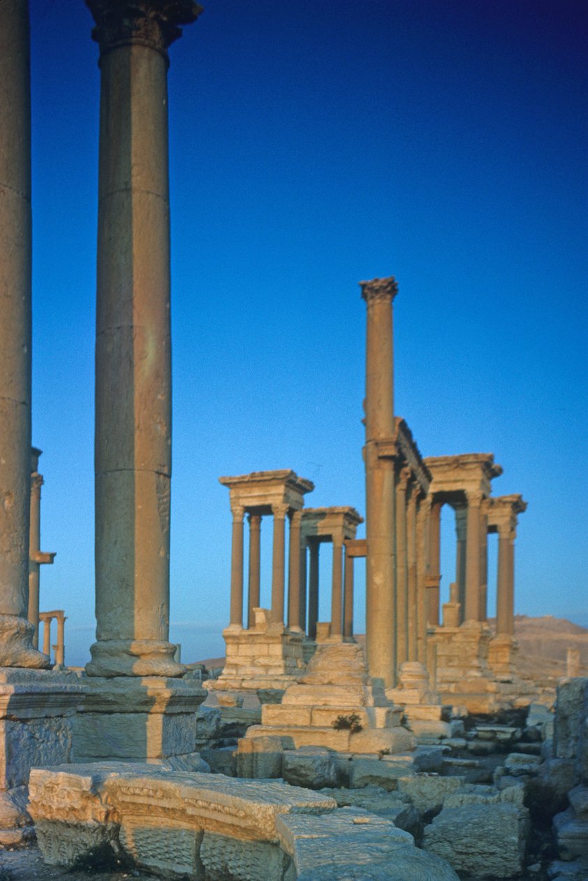 Sütunlu caddede sütun kalıntıları by Roman