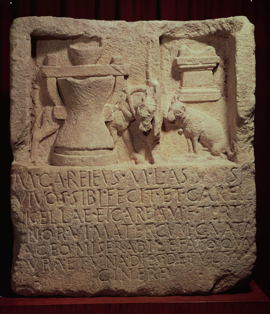Değirmencinin yıldızı Marcus Careius Asisa by Roman
