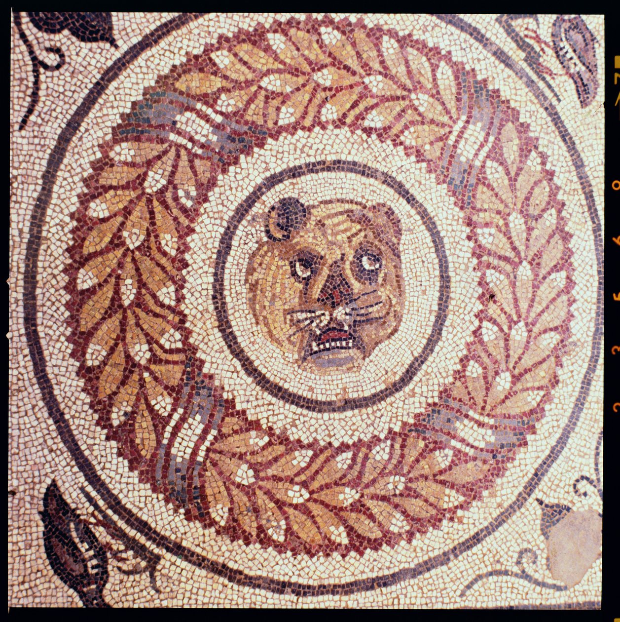 Kaplan başı, Roma mozaiği, 4. yüzyılın başları (mozaik) by Roman
